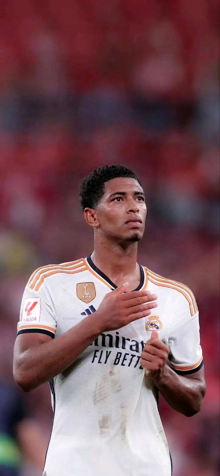 选择必须提 选择必须提